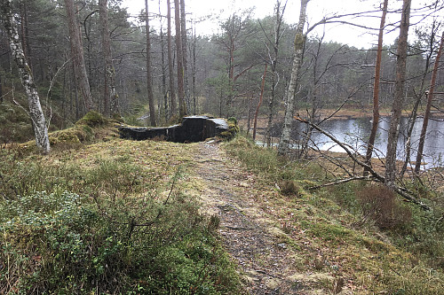 Passerte et sannsynlig krigsminne - skytestilling fra WW II