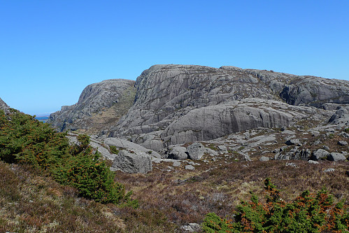 Vestsiden av Hågøyna sett fra sør