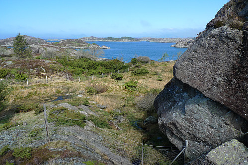 Samlingspmrådet for villsau nordøst på Hågøyna