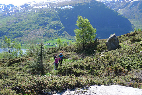 Astrid, Ole Einar og Liv nesten oppe på flaten 350 moh