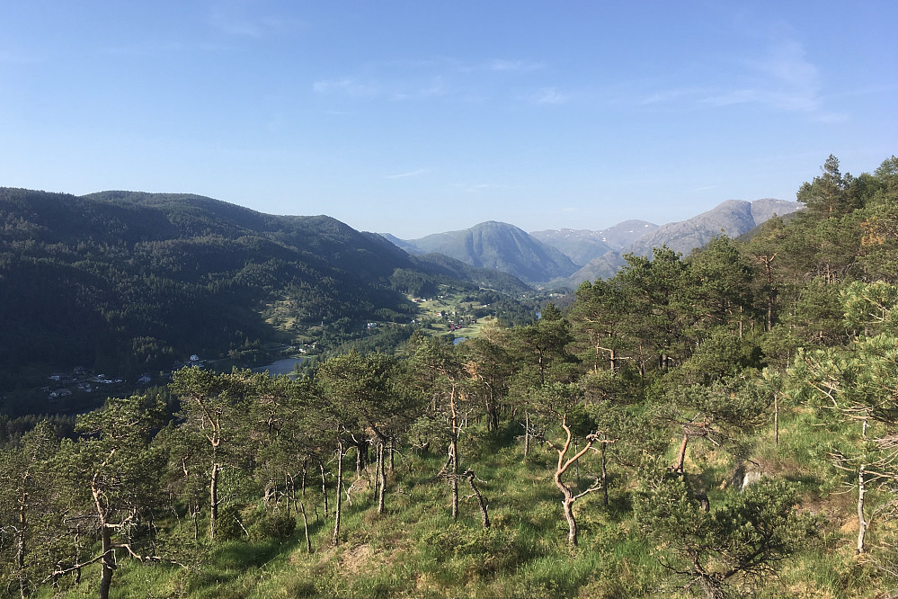 Utsikt mot NØ. Hausdalshorgi midt i bildet, Gullfjellet og Sveningen-området i bakgrunnen mot høyre