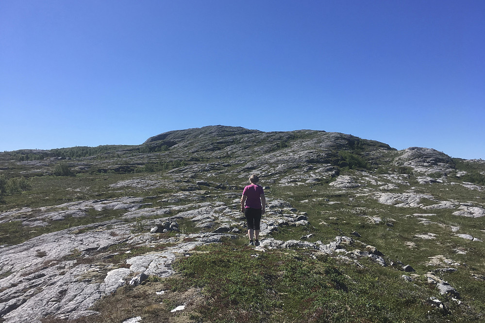 Lettgått og fint terreng innover Fjelldørgja