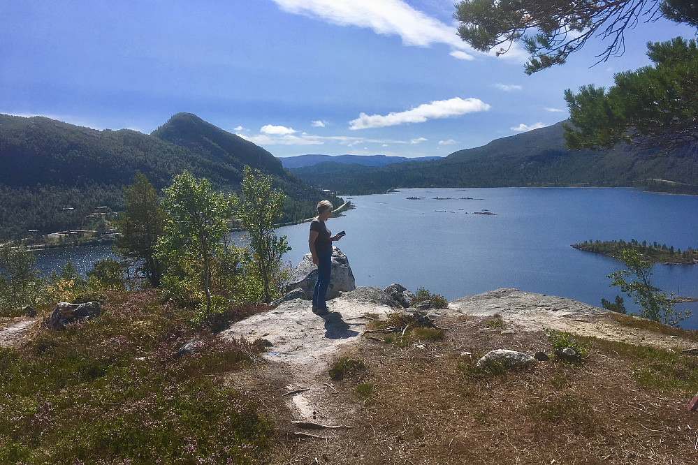 Fin utsikt fra en beskjeden, liten topp. Hartevatn i bakgrunnen