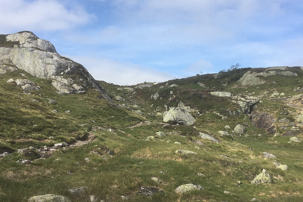 Etter den store steinen forsetter T-stien rett frem. Stien mot Skoræ tar av opp mot høyre langs en jordbakke. GPS i stidelet 400213 6516445 920 moh