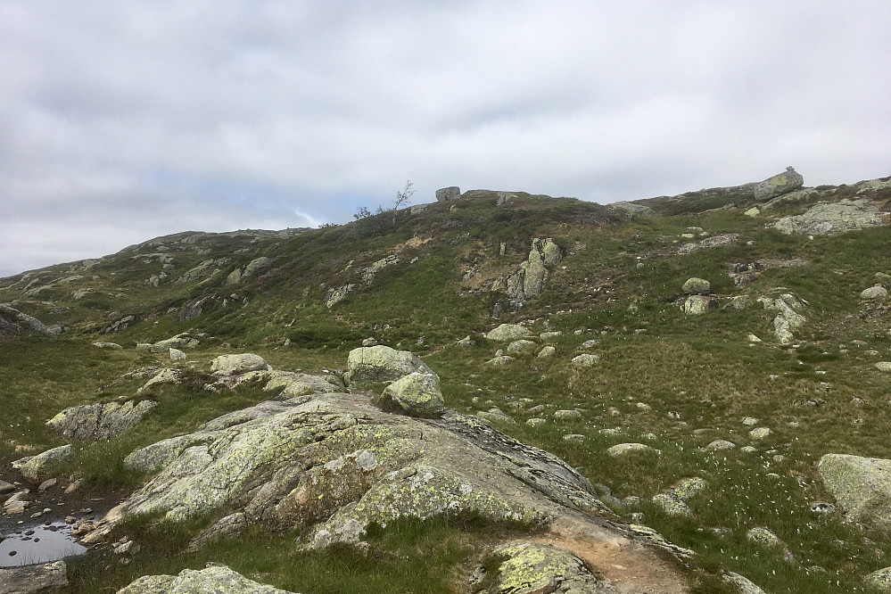 Nytt stidele på GPS 399945 6516376. På oppturen fortsatte vi rett frem her på en lite markert sti. Hovedstien tar her skarpt av mot høyre opp en liten bakke. Fulgte hovedstilen ned igjen.