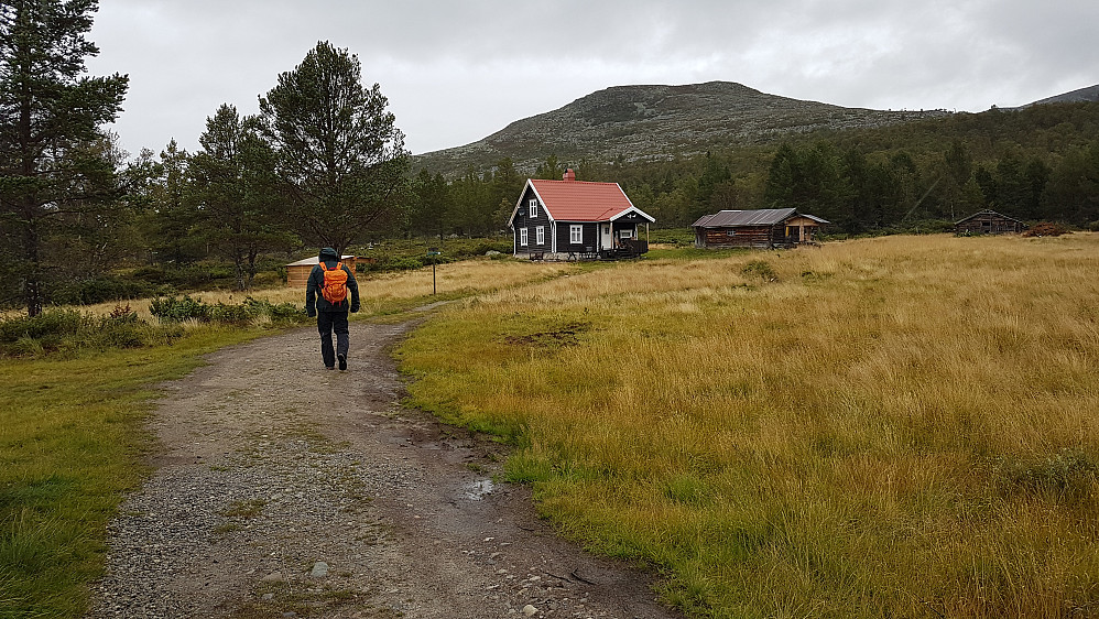 Hammarvollen. Ta til venstre ved skiltet og følg sti til merking mot Elgåhogna mot høyre. Foto: Stig