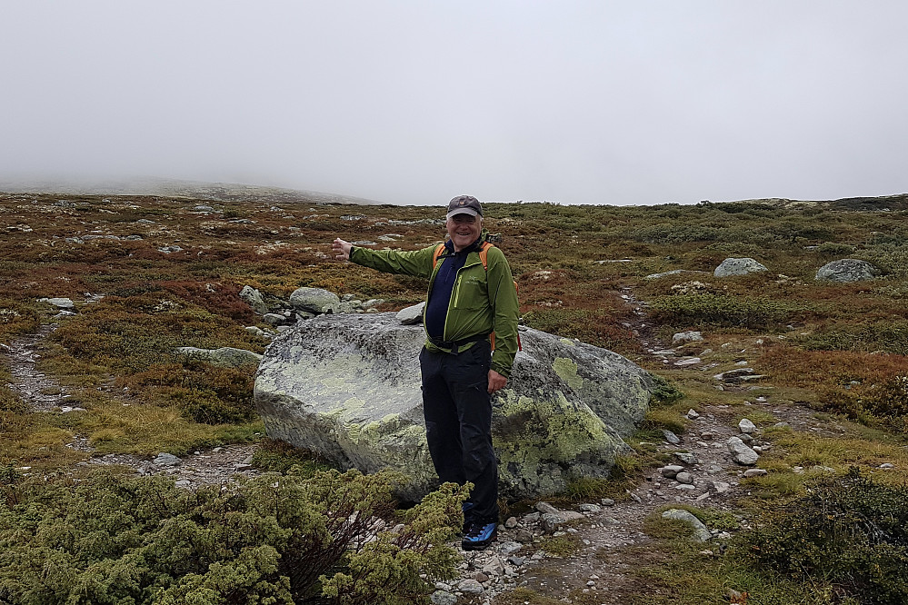 Her trodde vi det gikk av sti mot toppen, men det viste seg snart å være feil. Stiene her er kun et dobbeltspor mot Sålekinntoppen. Foto Stig