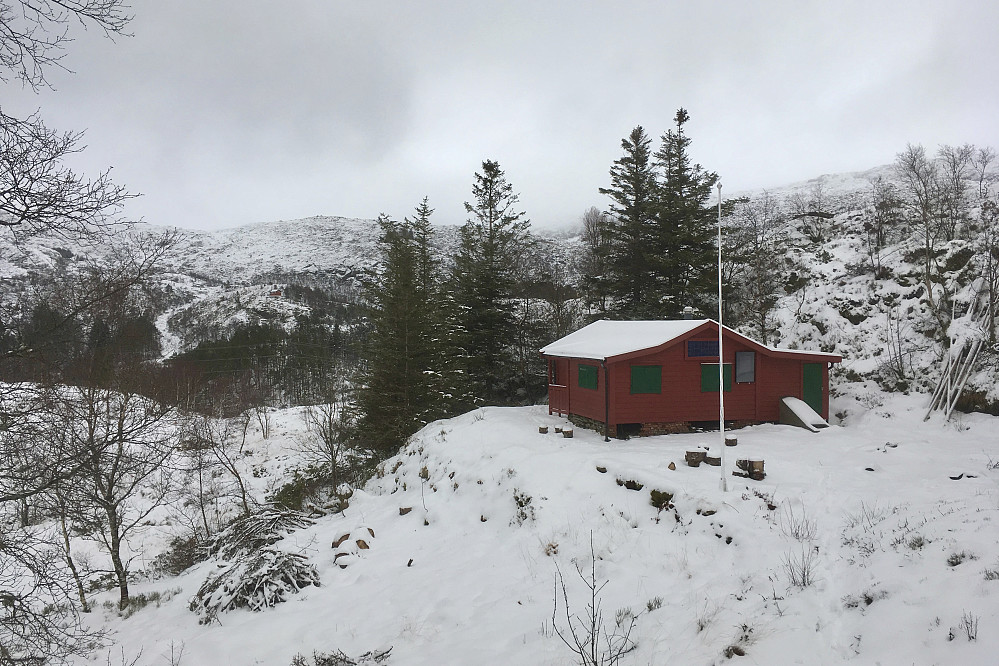 Jotneberg - vi gikk av fra tråkket mot Landåsfjellet i 10-15 cm nysnø uten å finne sti.