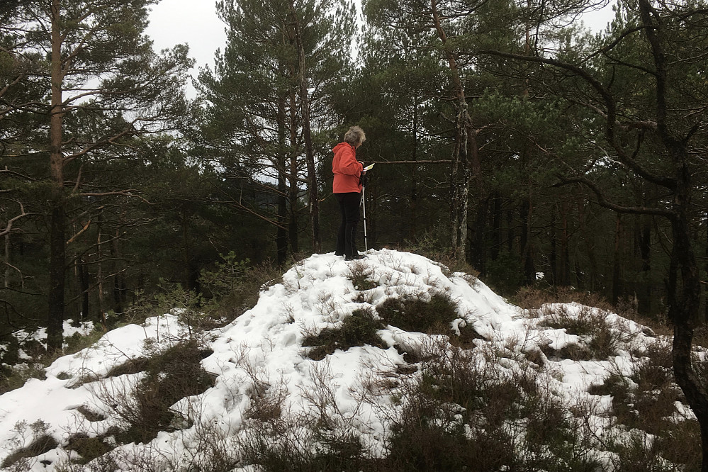 Astrid på høyeste punkt på Sjøbøhaugane. GPS 300680 6681451