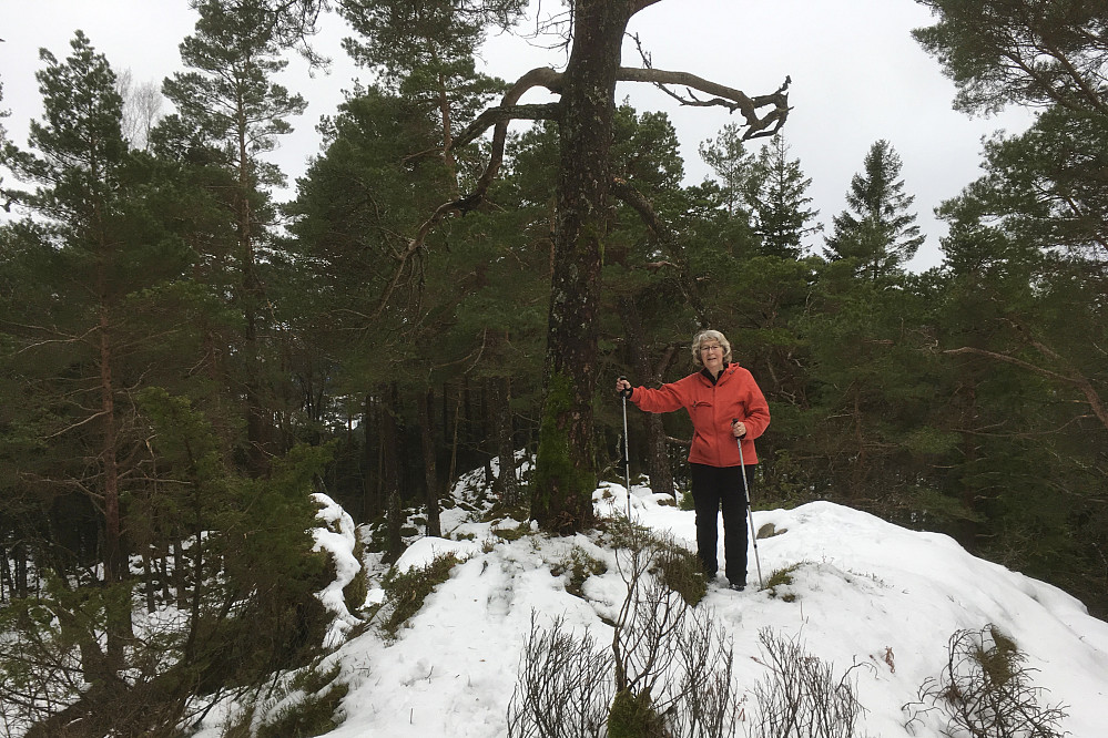 Astrid på høyeste punkt på Raunåsen i Os kommune