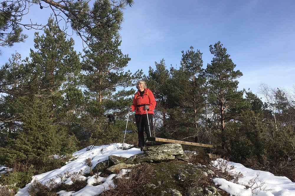 Astrid på toppen av Storåsen i Os