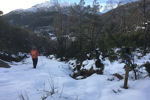 Traktorvegen i starten av turen. Møsnuken 639 i bakgrunnen