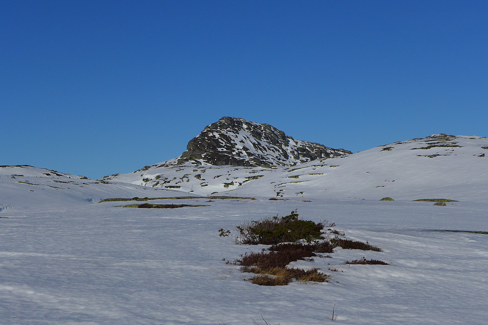 Blåknuten 991 ser ganske imponerende ut på avstand. Fristet ikke å gå opp der under dagens snøforhold!