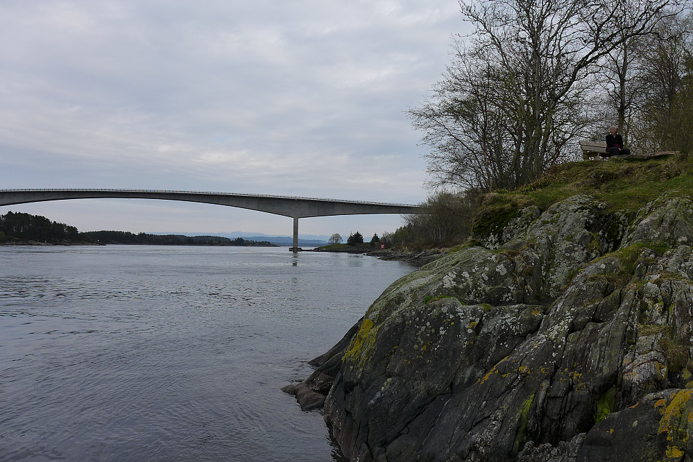 Utsikt østover mot broen over Fosnstraumen fra Bøneset