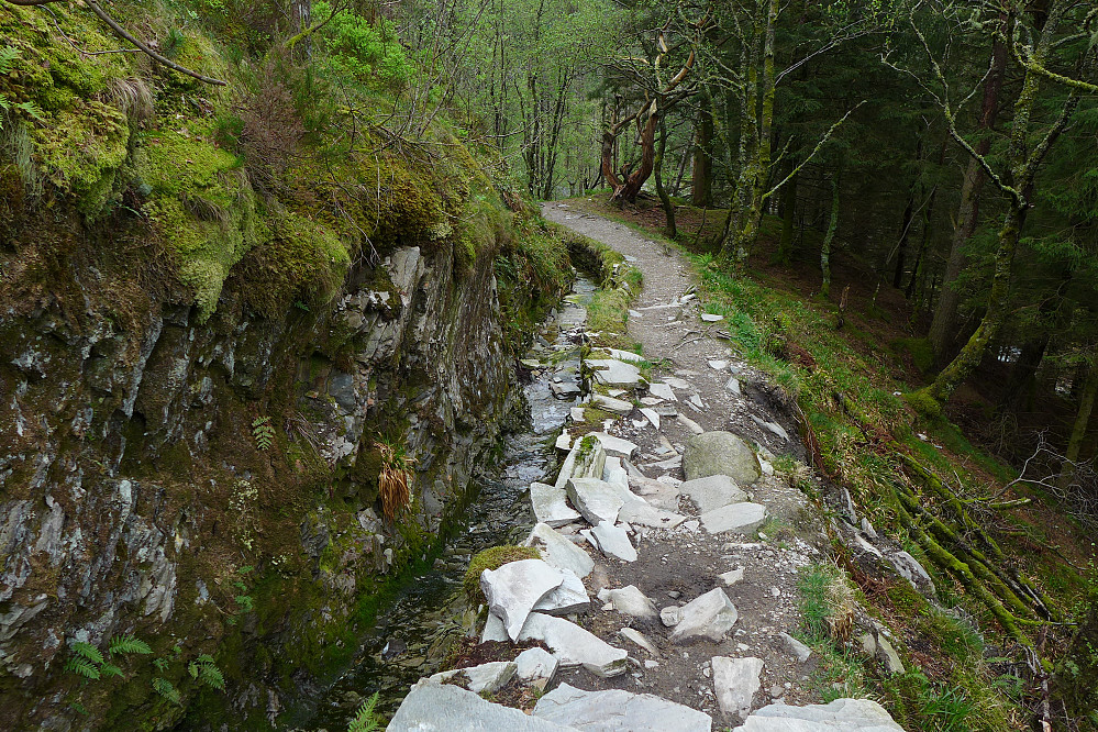Stien mot Ravneberg går delvis på oppmuringer etter  en gammel vannvei ned mot Munkebotsvatnet