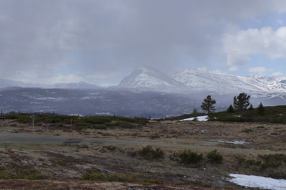 Utsikt vestover mot Skogshorn
