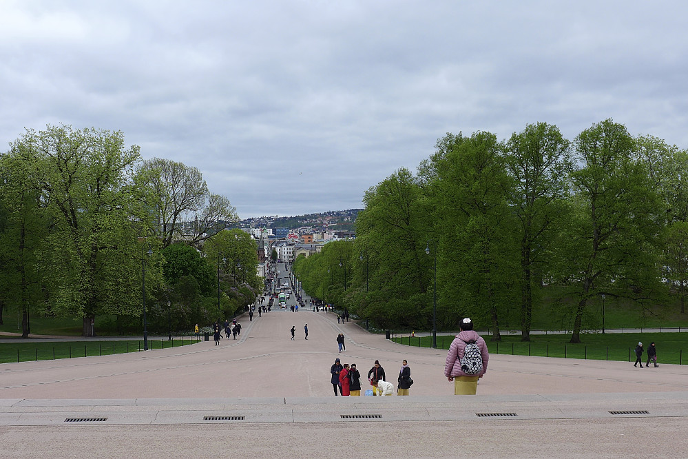 Utsikt fra Slottsplassen mot Karl Johans gate