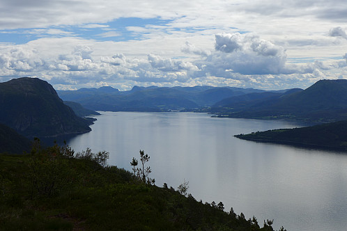 Utsikt østover innover Arasvikfjorden 