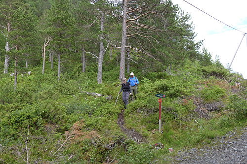 Stikk-ut skilt ved stistart like etter parkeringen