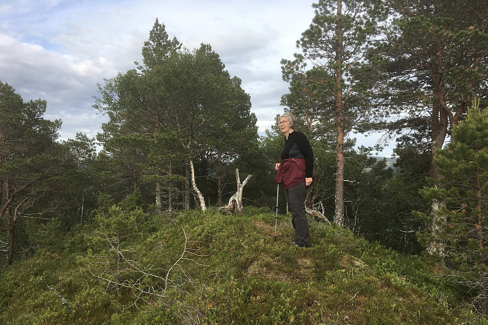 Astrid på det høyeste punktet på Rottøyhaugen ved et gammelt trig-merke