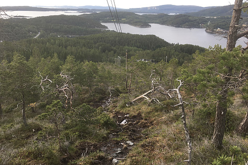 Gjørmete stitråkk under kraftlinjen til masten