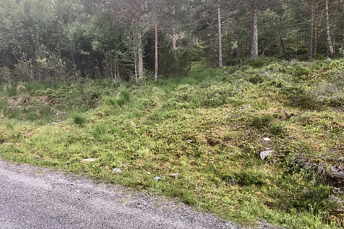 Her starter firhjulingsporet mot Rottøyhaugen
