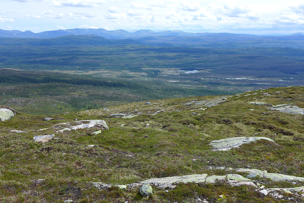 Utsikt mot SSØ mot Roktdalen. Kan noen av de høye, mørke som skimtes i bakgrunnen være Løysmundhatten 1090 og Skjækerhatten 1139?