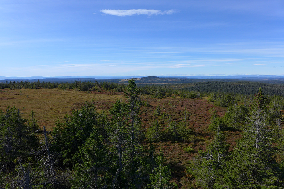 Vidstrakt utsikt i alle retninger, også mot stortoppene øst i Hedmark