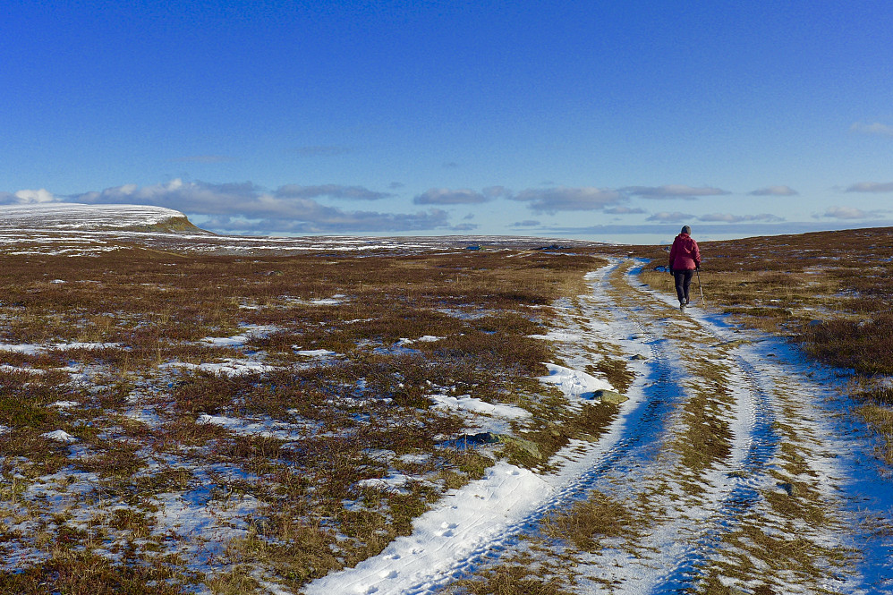 Anleggsveien vi fulgte i starten. Ta av fra denne etter ca 800m og å direkte mot nordflanken på fjellet