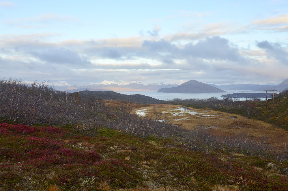 Utsikt østover mot Haukøya med Haukøyfjellet 506