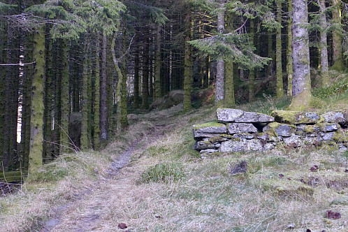 Mur mot nord. Et eldre navneskilt og nummer sto ved denne muren
