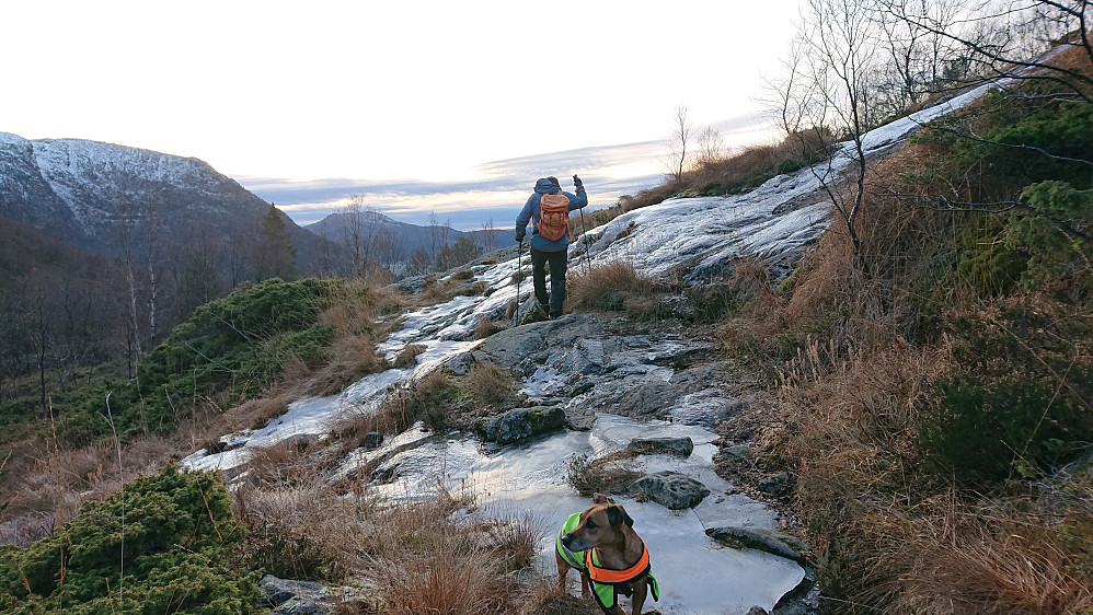 Bra med brodder på slikt føre i Hardbakkadalen! Foto Helge.
