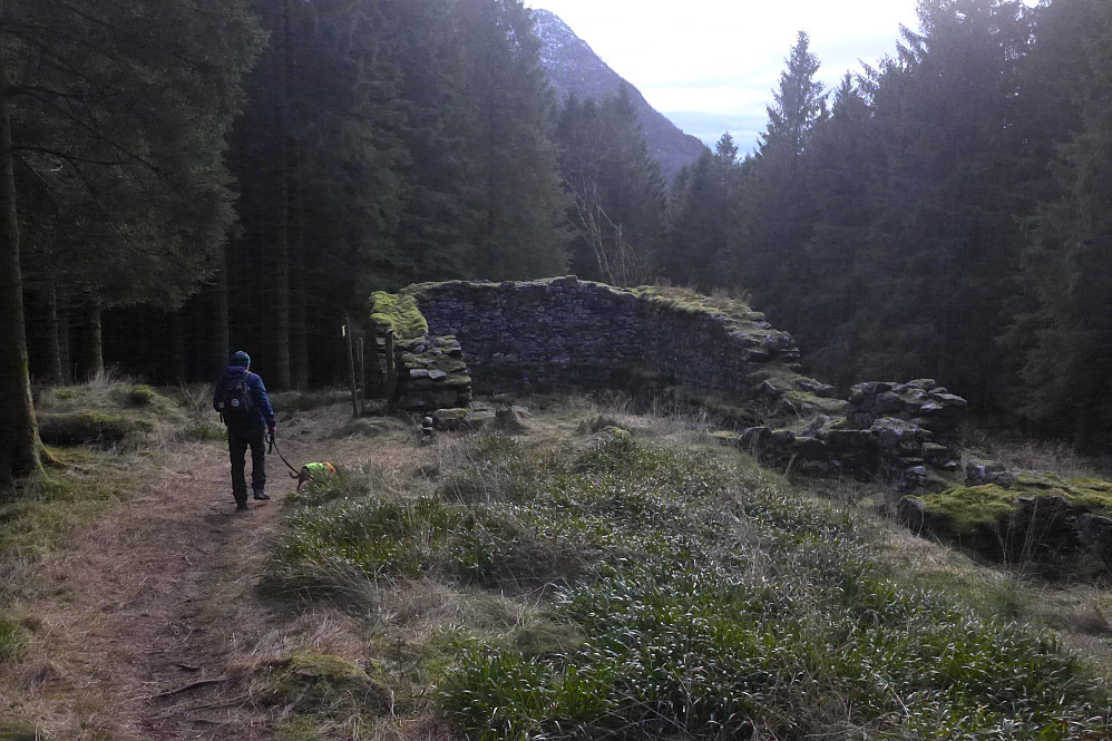 Byfjellene 27 - Hardbakka ruin