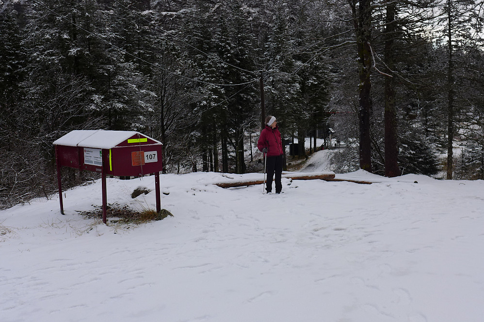 Byfjellene 107 Nødkjelkehuset ved Brushytten. Astrid står omtrent i midten på tuften etter bygningen. GPS 32V 299405 6701611