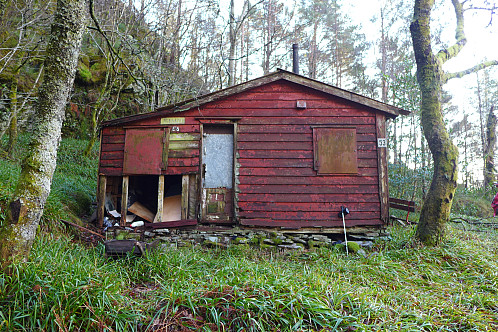Byfjellene 53 - hytten Birkelid
