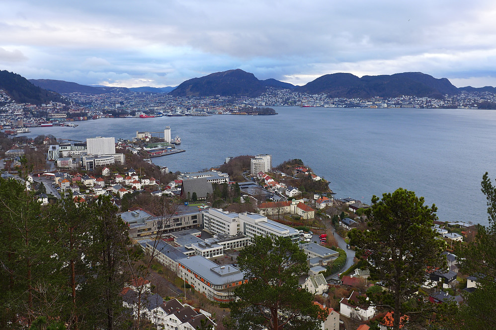 Nydelig utsikt innover mot Bergen sentrum fra Furekammen