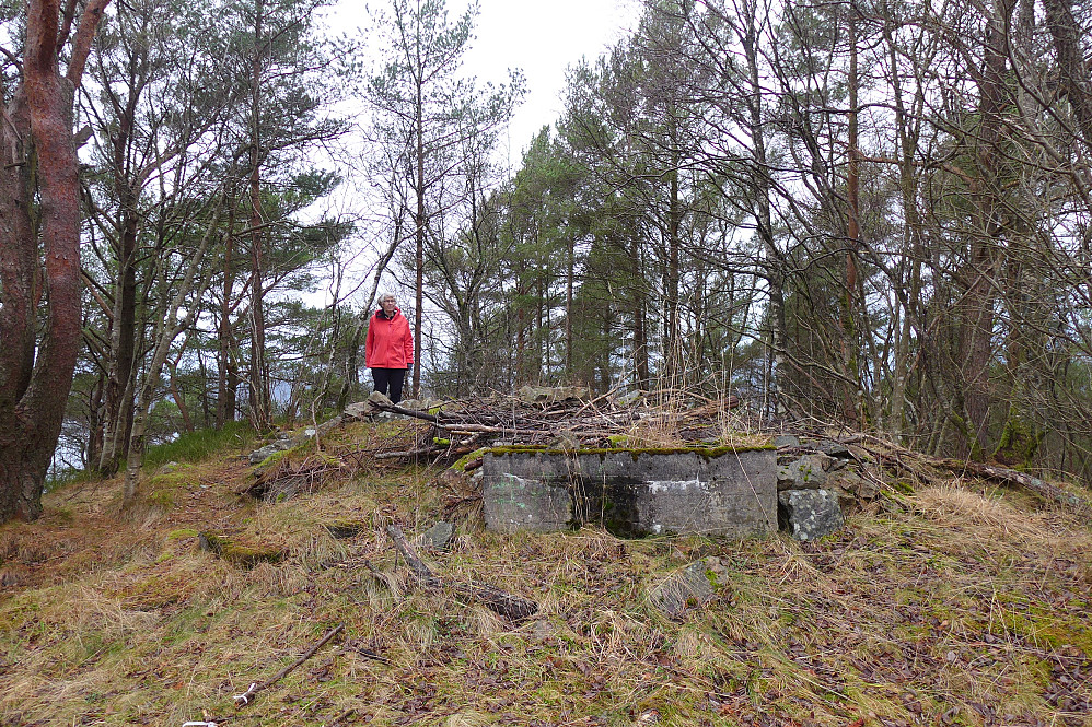 Topp-området på Fagerdalsfjellet