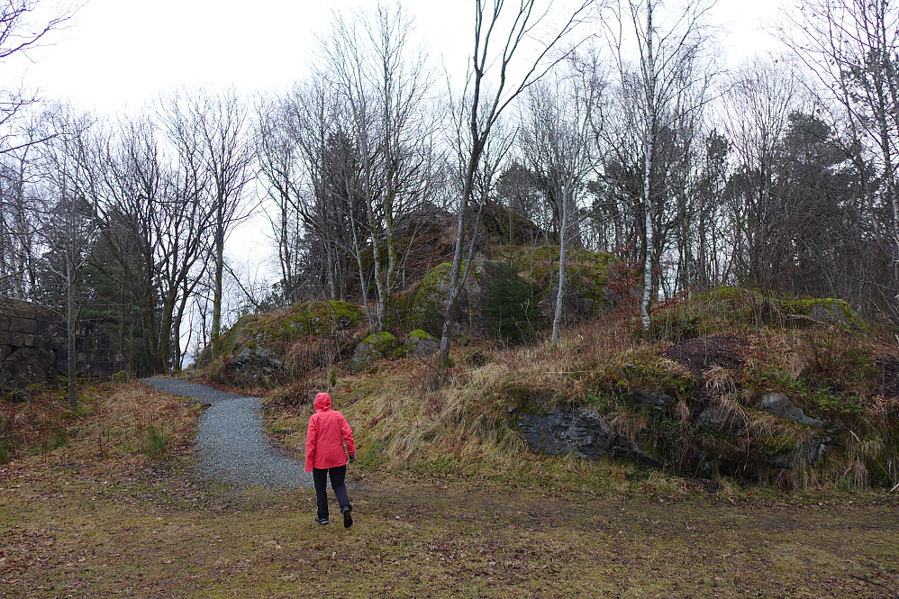 Høyeste punkt på Hellefjellet ligger oppe på haugen til høyre.