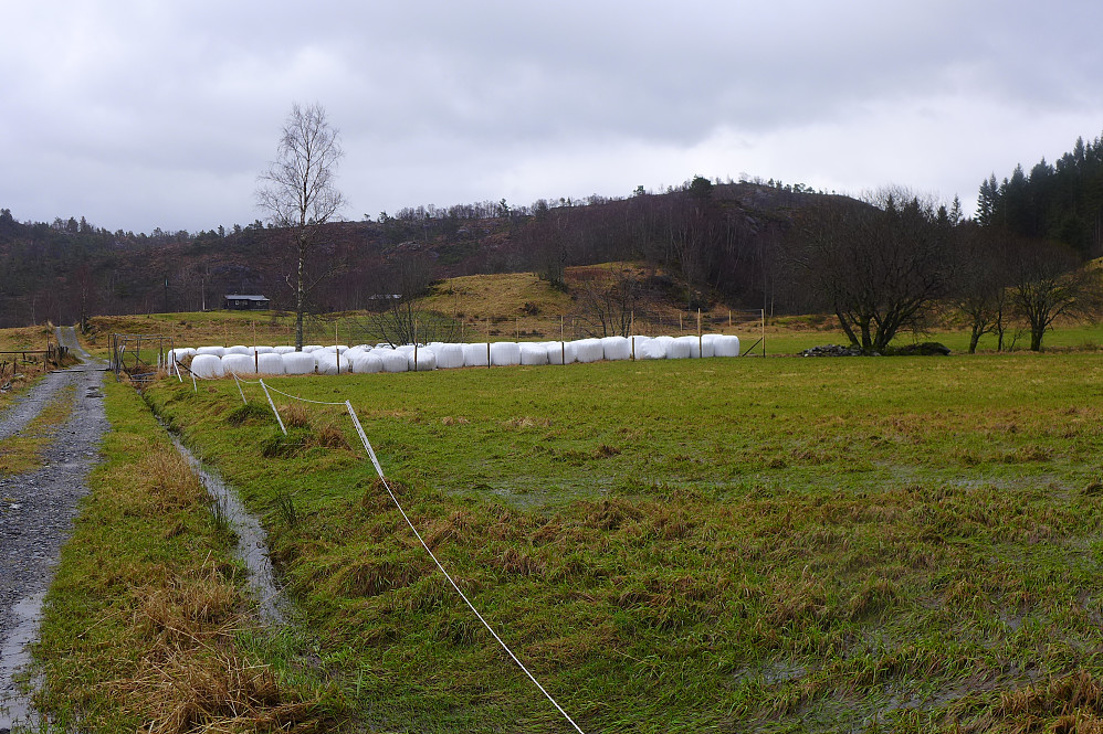 Ullberget er den slake høyden mot høyre i bildet, her sett fra gårdsvegen vest for toppen