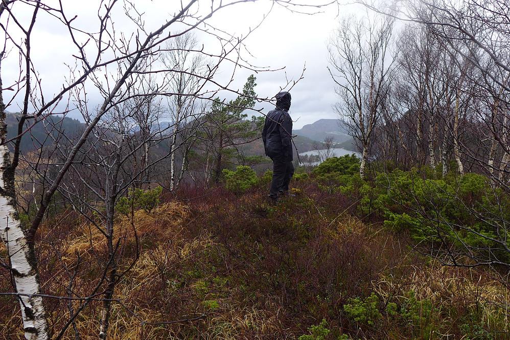Astrid på Ullberget