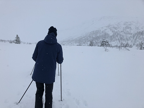 På vei innover Ljosandalen. Ikke akkurat drømmeforhold i vinterferien 2020 på Mjølfjell! Foto Synnøve