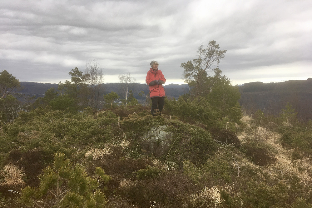 Astrid på den umarkerte toppen av Erviknipa