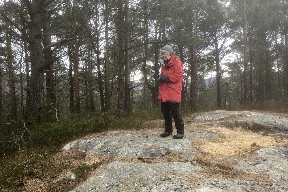 Astrid ved bolten på toppen av Stornipa ved Myrdalen