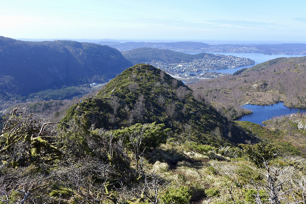 Stangelifjellet sett fra Stangelifjellet øst
