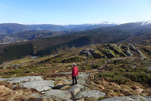 Mot Hjortlandsdalen 