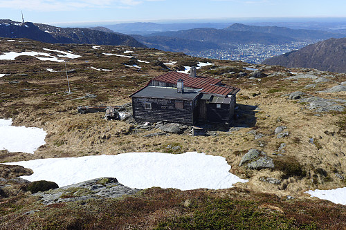 Byfjellene 25 - Bamsehi