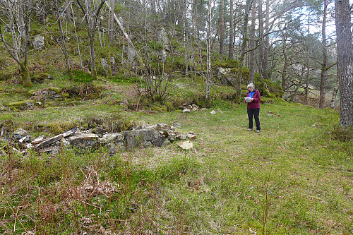 Tomt og murer etter hytten Furuly