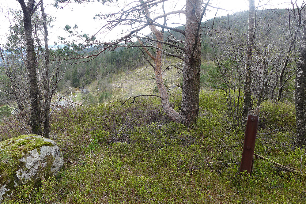Ca. 50 m NV for hytten ligger haugen med rester etter en flaggstang. GPS 32V 295520 6698512 260 moh. Flott utsikt mot VSV herfra! Nordneshytten Vagten nede på flaten.
