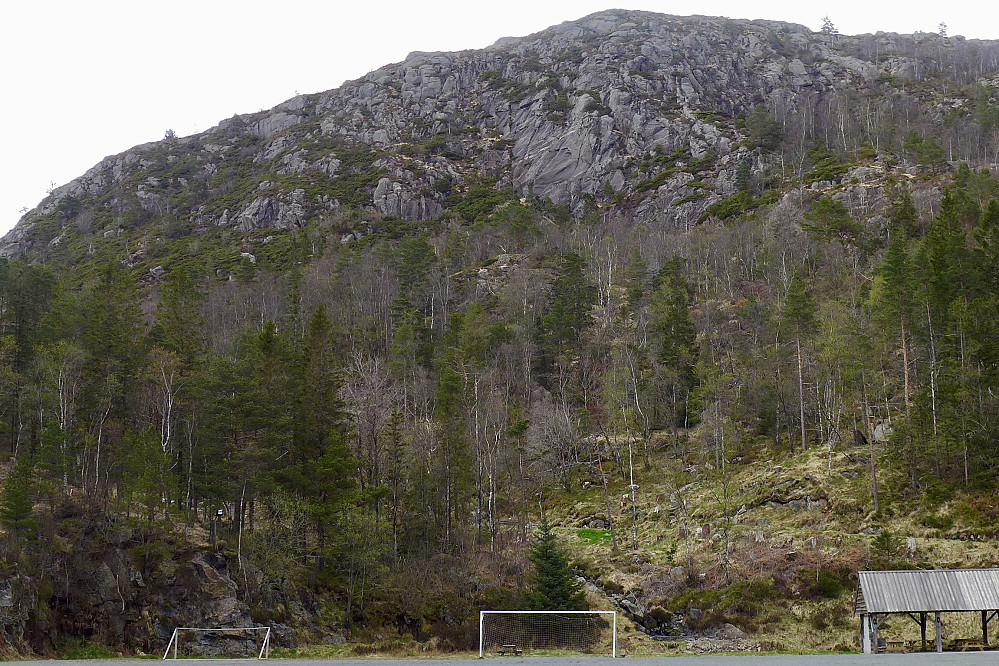 Bilde tatt fra idrettsplassen mot Olsokfjellet. Haugen der flaggstangen sto er det lysere partiet omtrent midt i bildet.