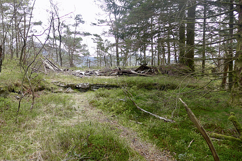 Murer etter Lyngborg